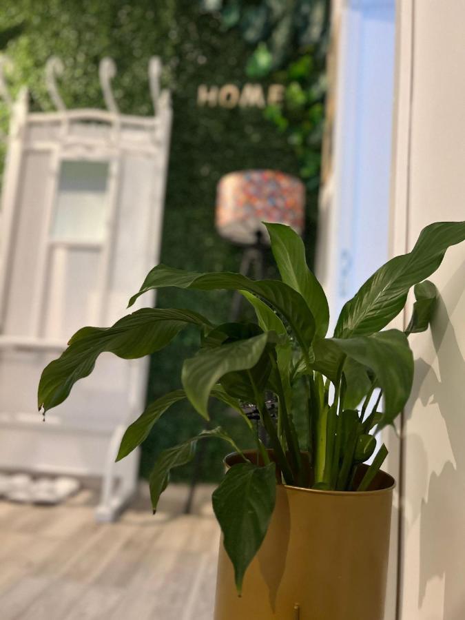 Sweet Home Apartament Predeal Exteriör bild